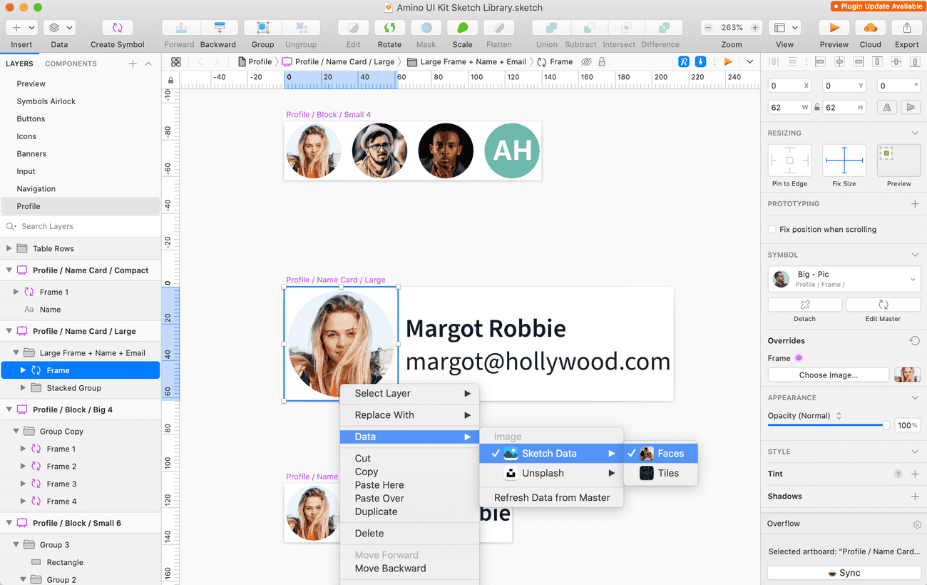 Sketch comes with default Data Providers for things like profile images.