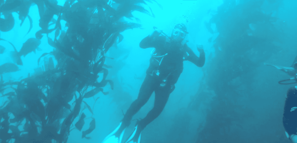 California Scuba Diving